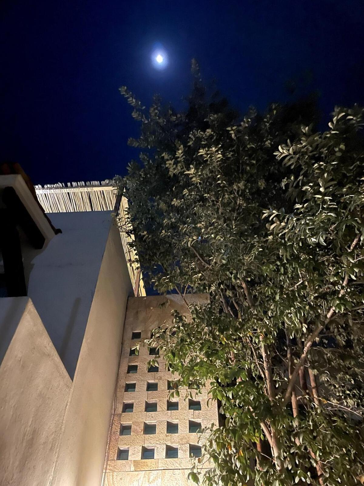 Casa Colibri Oaxaca Con Jacuzzi En Terraza Villa Santa Maria Atzompa ภายนอก รูปภาพ